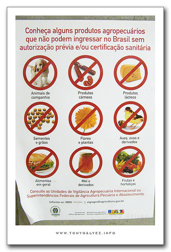 restricciones aduaneras a la llegada