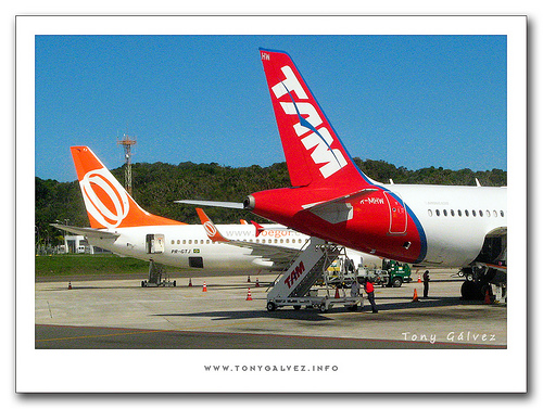 reparto del mercado aéreo en enero de 2010